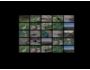 Dynamic Gallery 1.0