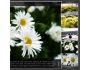 Easy Image Gallery Vertical 1.0