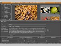 ProStockMaster for Linux