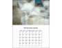 Calendar Builder building software 2.0
