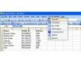 Bulk SMS XL 4.5