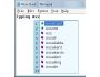 Typing Assistant (English) 4.1