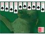 Spider Solitaire 1.0