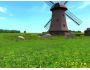 Windmill 3D Screensaver 1.0
