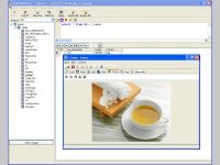 SqlLobEditor