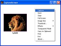 CaptureScreen
