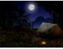 Night in the Forest Screensaver 6.11