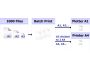 2D Batch Print for AutoCAD DWG, DXF, PLT 1