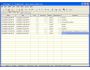 TimeSage Timesheets 1.5.3