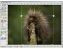 Image Cut split image 1.528