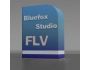 Bluefox FLV to X Converter 2.10.08.1209