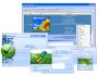 Remove Duplicate Files Automatically 3.28