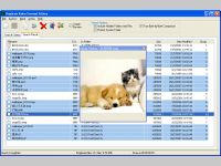 Duplicate Radar Professional Edition