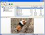 Easy NTFS File Undelete 2.4