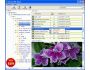 BKF Repair Tool 4.2