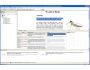 Excitic Website Localization Tool 6.0