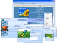 File Organizer