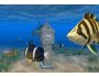 Aquarium Clock 3D Screensaver 1.0.2
