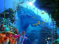 Coral Reef 3D Screensaver