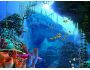 Coral Reef 3D Screensaver 1.1