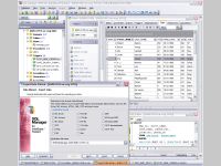 EMS SQL Manager for InterBase/Firebird Freeware