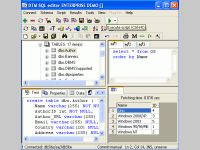 DTM SQL editor