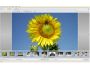 Kodak Easyshare software 7.1