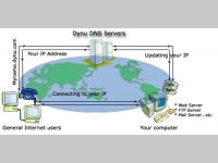 Dynu Basic Dynamic DNS Client
