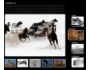 2 Scrollers XML Photo Gallery 1.0