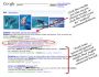 Surf Canyon for Firefox 3.0.0