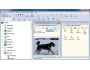 FileQuest 7 Gold 5.7