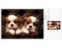 ImageCropper for ASP.NET 1.1.4