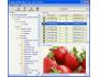 PC Backup Recovery 4.0
