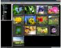 ACDSee Picture Frame Manager 3.0.355