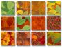Imagelys Texture Pack #19 1