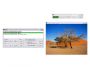Philipp Winterberg's Screensaver Player 3.00