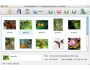 Visual LightBox Mac 2.0