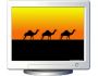 NFS Camels 1.1