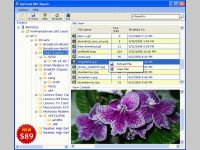 Backup Recovery Fix