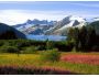 Alaskan Sketches Free Screensaver 1.0.1