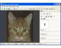 Pet Eye Fix Guide 1.0