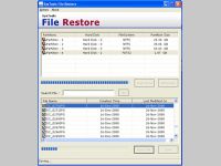 File Restore Software