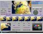 Smart Cutter for DV and DVB 1.2.3