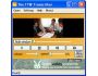 The FTW Transcriber 1.0