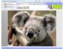 PEdit - Free Photo Editor 1,0