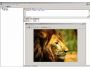 OraLobEditor 2.8