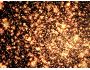 Space Dust 3D Screensaver 1.21