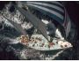 Sailing Yachts Free Screensaver 1.0.1