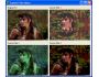 BasicVideo VCL 5.0.1