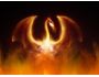 Fire Dragon Animated Wallpaper 1.1.0